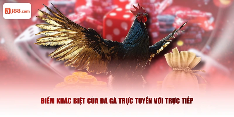 Điểm khác biệt của đá gà trực tuyến với trực tiếp