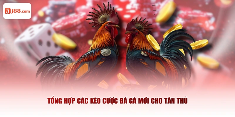 Tổng hợp các kèo cược đá gà mới cho tân thủ